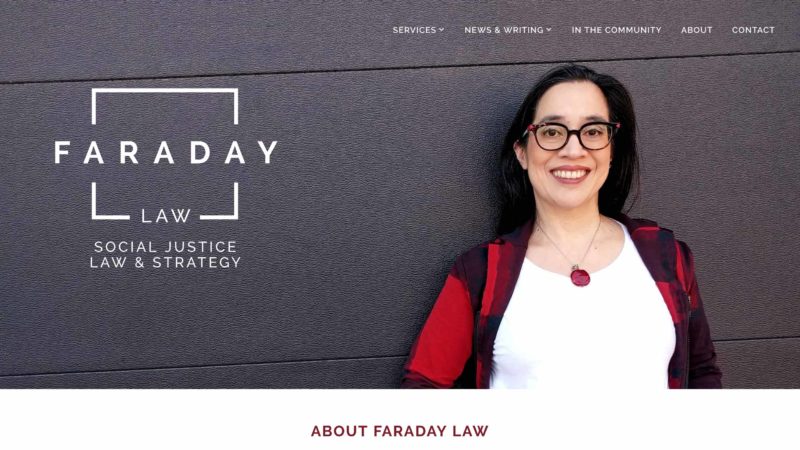 Faraday Law website screen capture